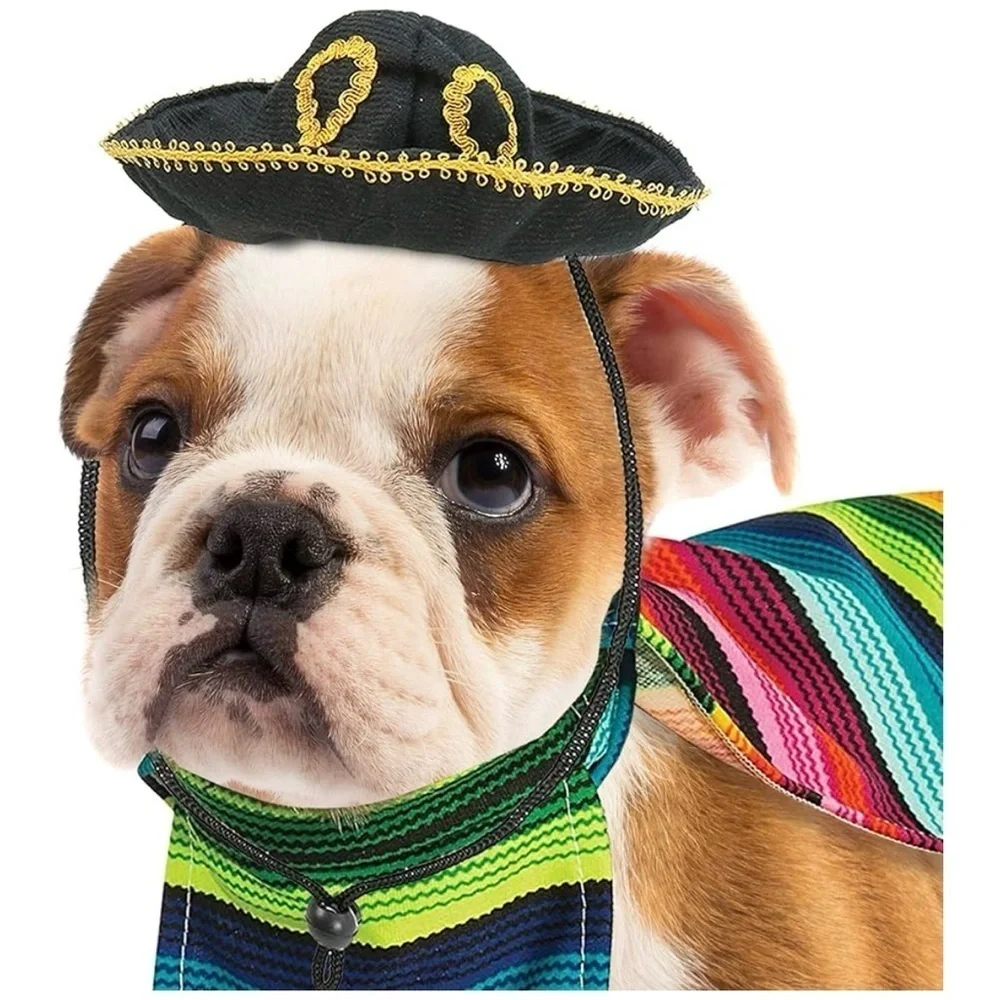 Multicolor Pet Costume